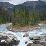 Jasper Fire: Canadezen rouwen om de verbranding van een juweel uit de Rockies