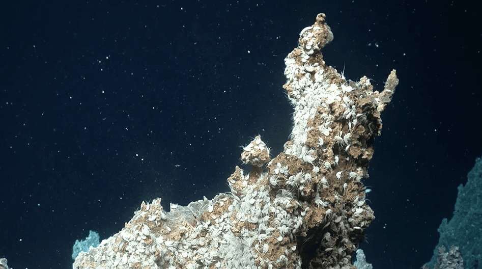 Een hydrothermale ventilatieopening in het hydrothermale veld van Jotul